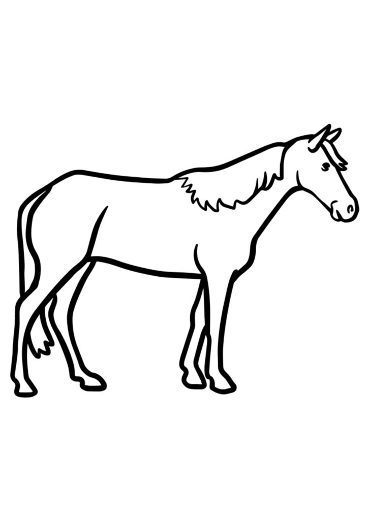 animal-coloring-page