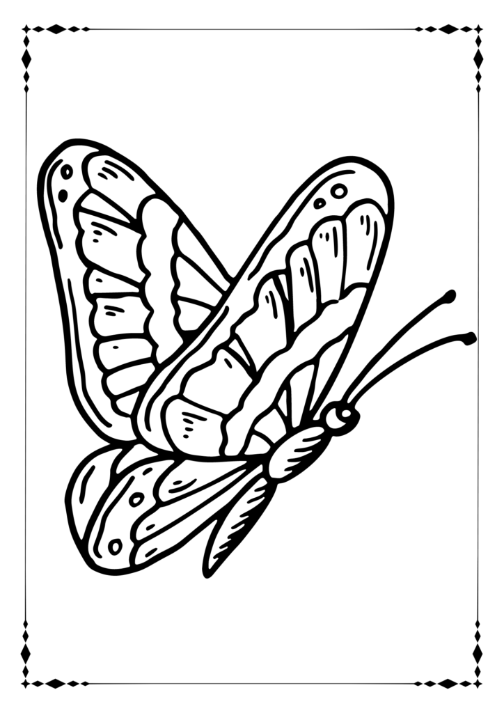 Butterfly Coloring sheets